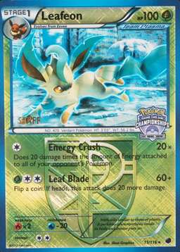 Holo · Championships Crosshatch Euro Regional Spring Staff