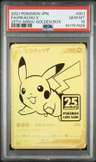 Fa/pikachu V