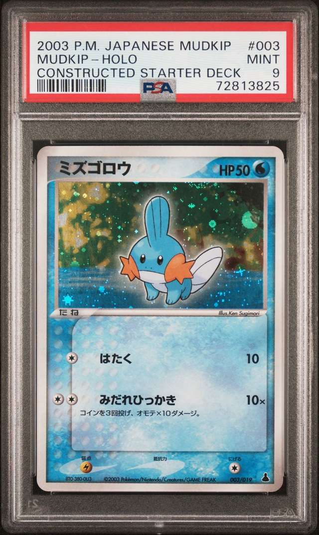Mudkip