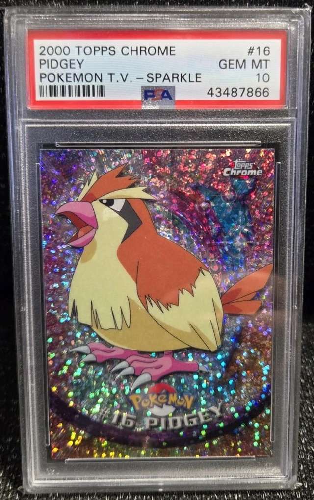 PIDGEY