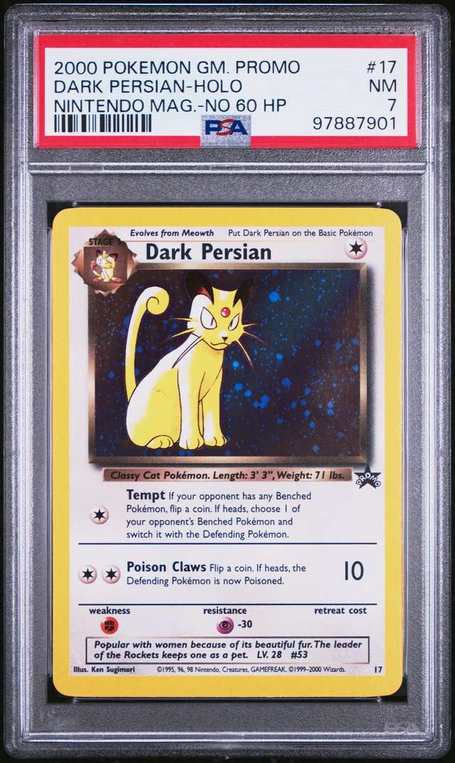 Dark Persian
