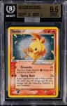 Torchic