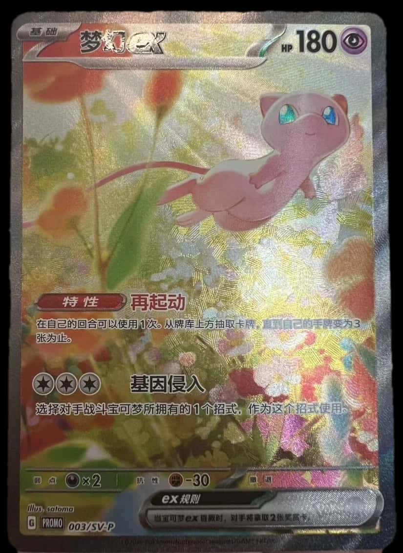 Pokemon Chinese sealed promo card [zh]