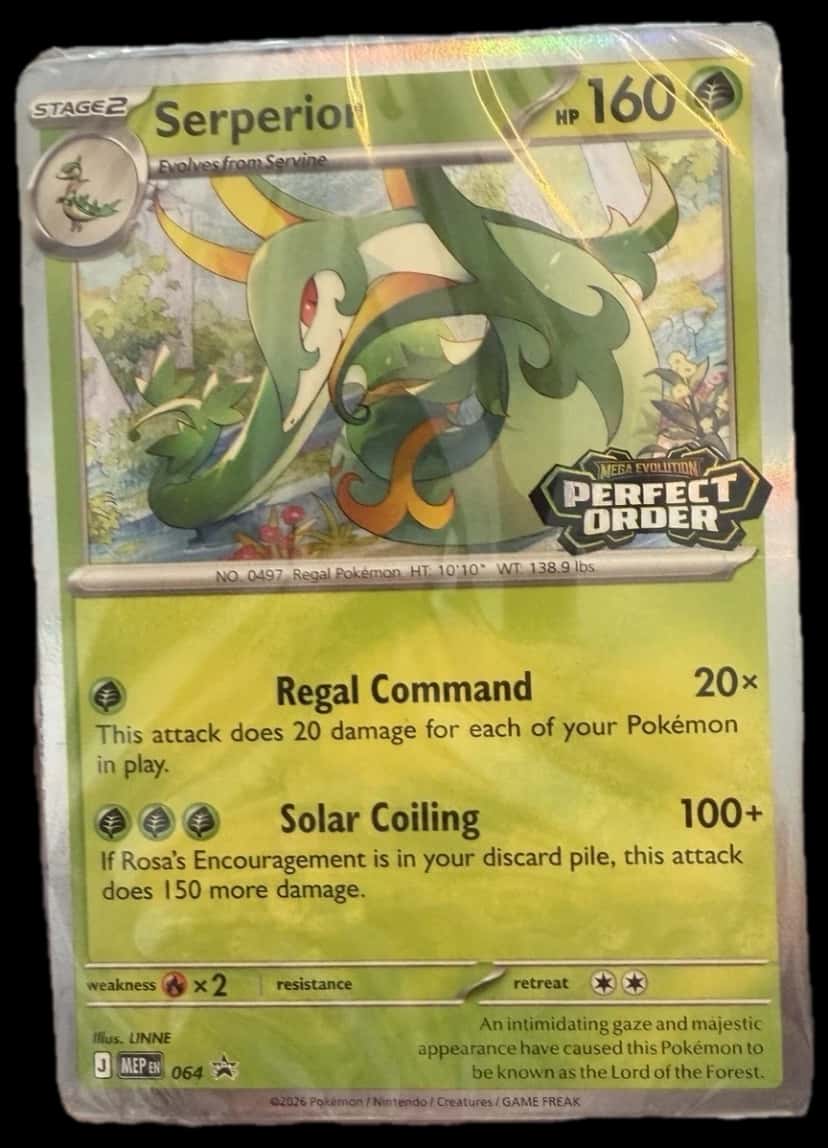 Perfect Order Build & Battle Deck deck