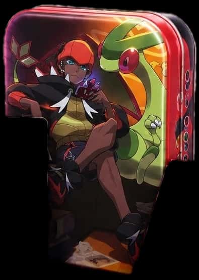 Sword & Shield Trainer Collector Box Raihan collection box [zh]