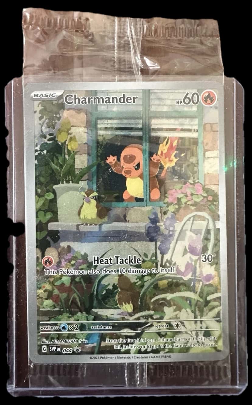 Obsidian Flames Charmander 044 Promo sealed promo card