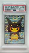 Poncho-Wearing Pikachu