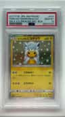 Poncho-Wearing Pikachu