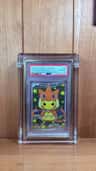 Poncho-Wearing Pikachu