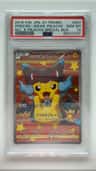 Poncho-Wearing Pikachu