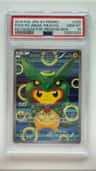 Poncho-Wearing Pikachu