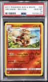 Arcanine
