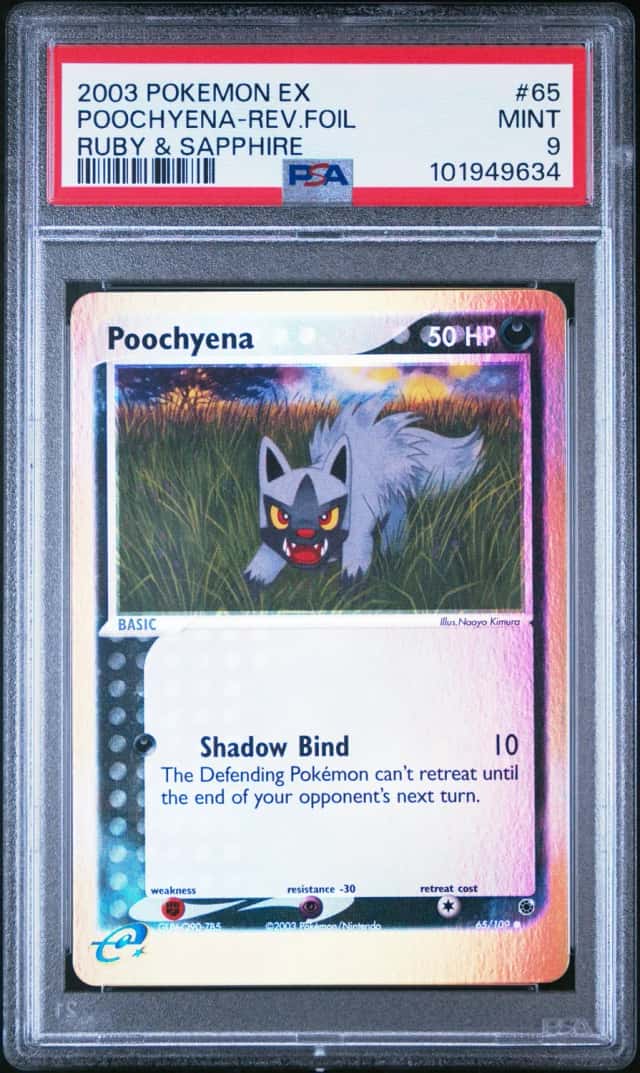 Poochyena