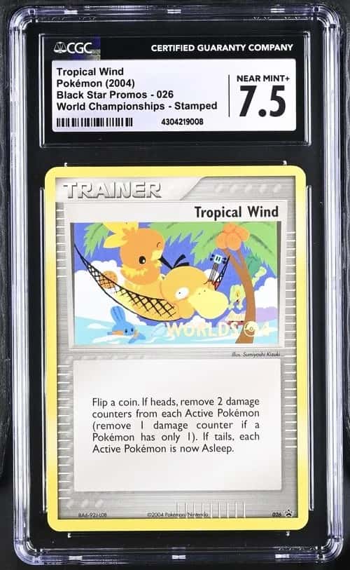 Tropical Wind