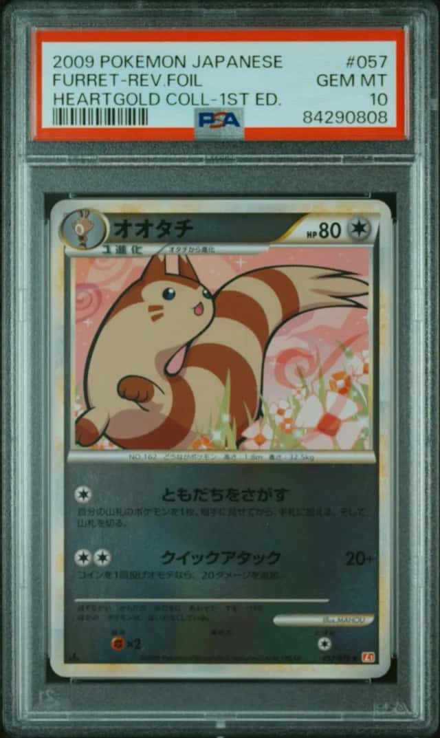 Furret