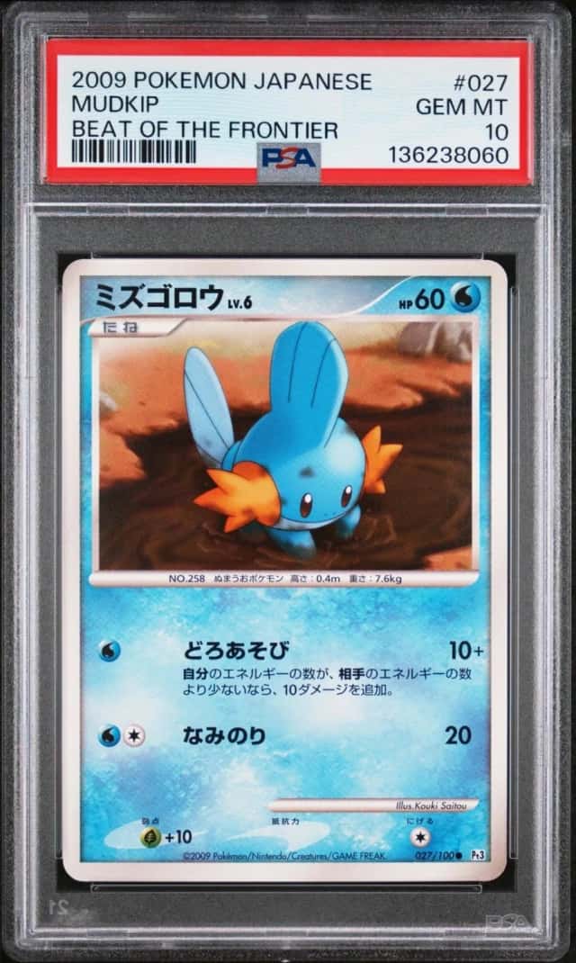 Mudkip