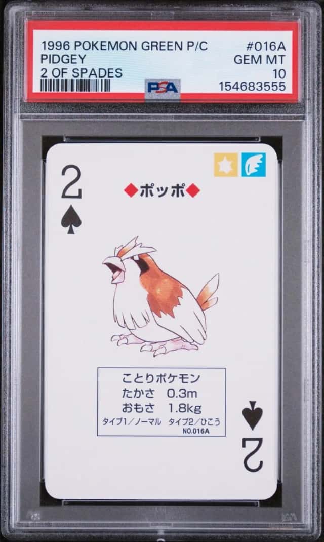Pidgey