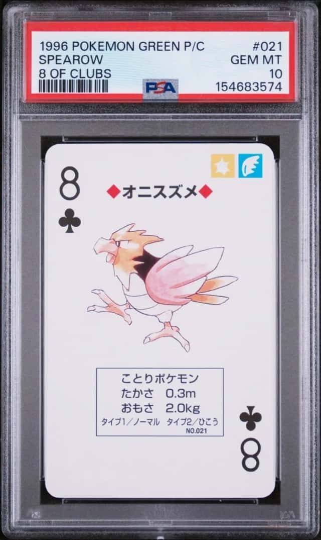 Spearow