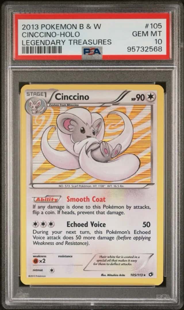 Cinccino