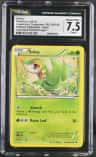 Snivy