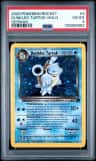 Dunkles Turtok