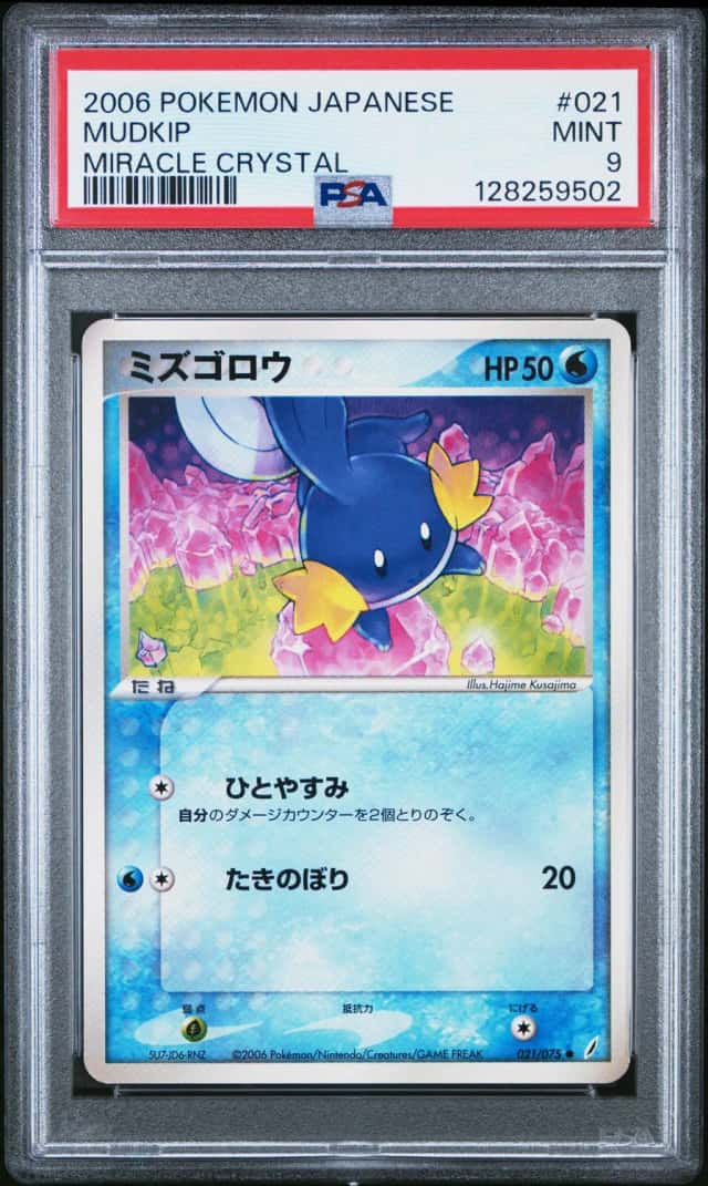 Mudkip