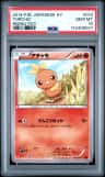 Torchic