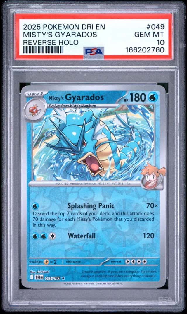 Misty's Gyarados