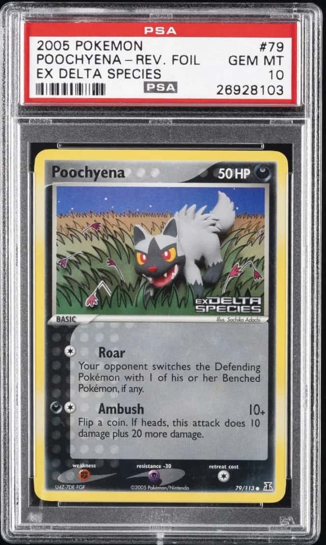 Poochyena
