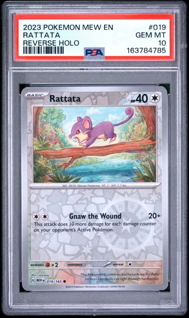 Rattata