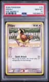 Pidgey