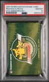 Pikachu & Pichu