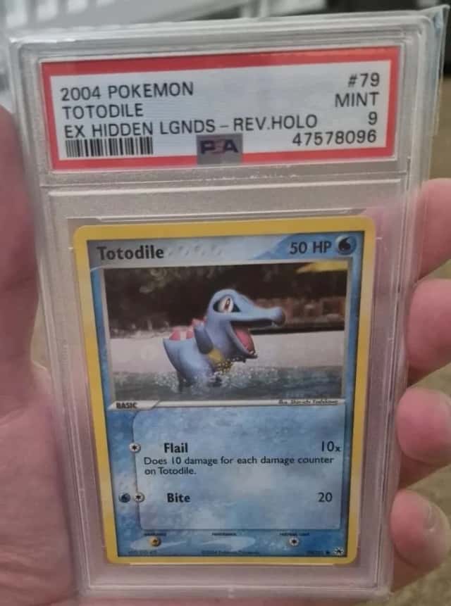 Totodile