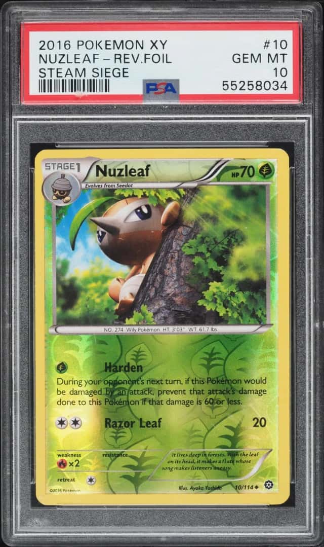 NUZLEAF