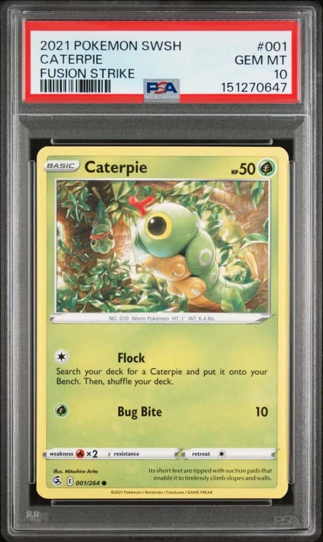 Caterpie