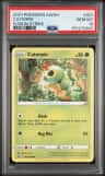 Caterpie