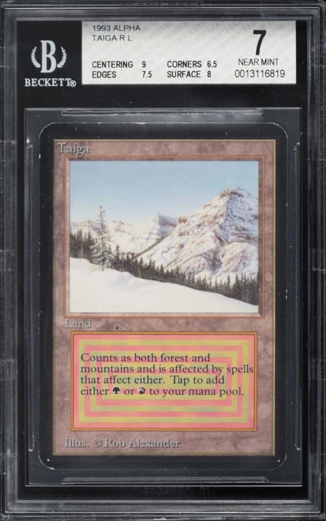 Taiga R :L: