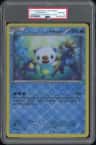 _____'S Oshawott