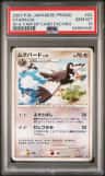 Staravia