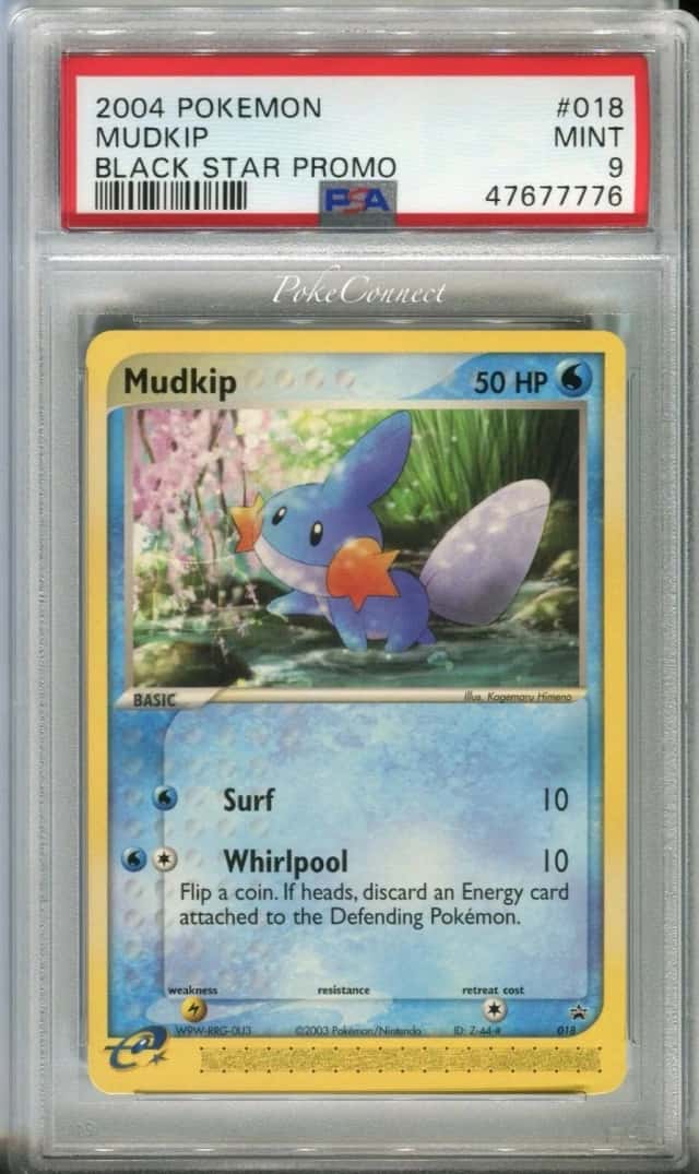 Mudkip