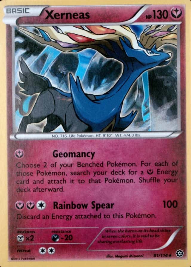 Holo