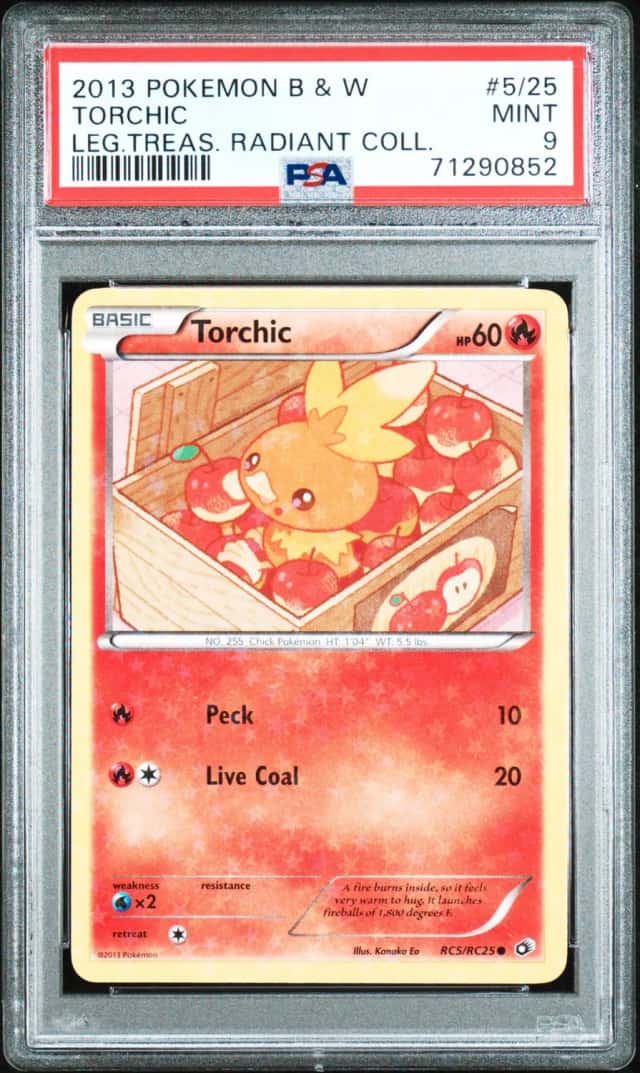Torchic