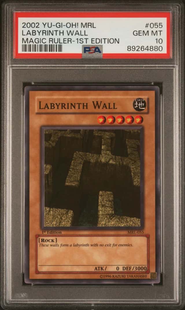 Labyrinth Wall