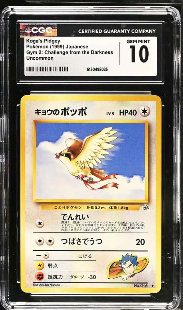 Koga's Pidgey