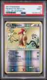 Pidgeotto
