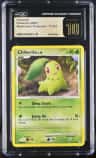 Chikorita
