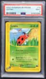 Ledyba