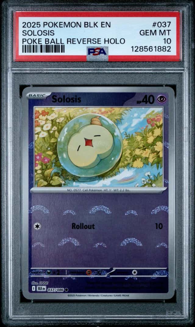 Solosis
