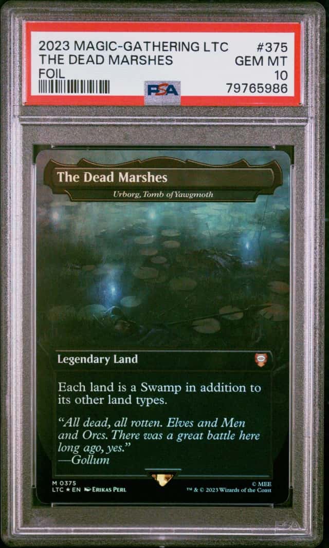 The Dead Marshes