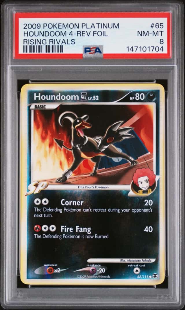 Houndoom 4